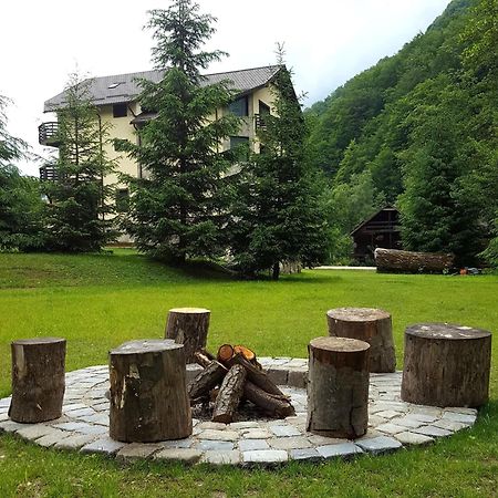 ホテル Casa Valea Cernei Isverna エクステリア 写真