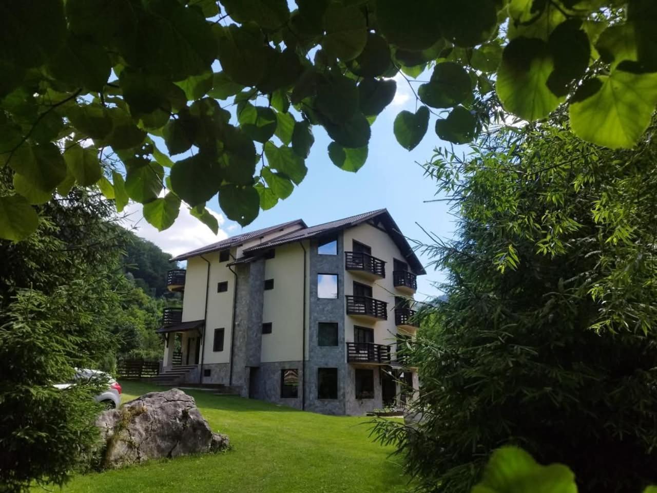 ホテル Casa Valea Cernei Isverna エクステリア 写真