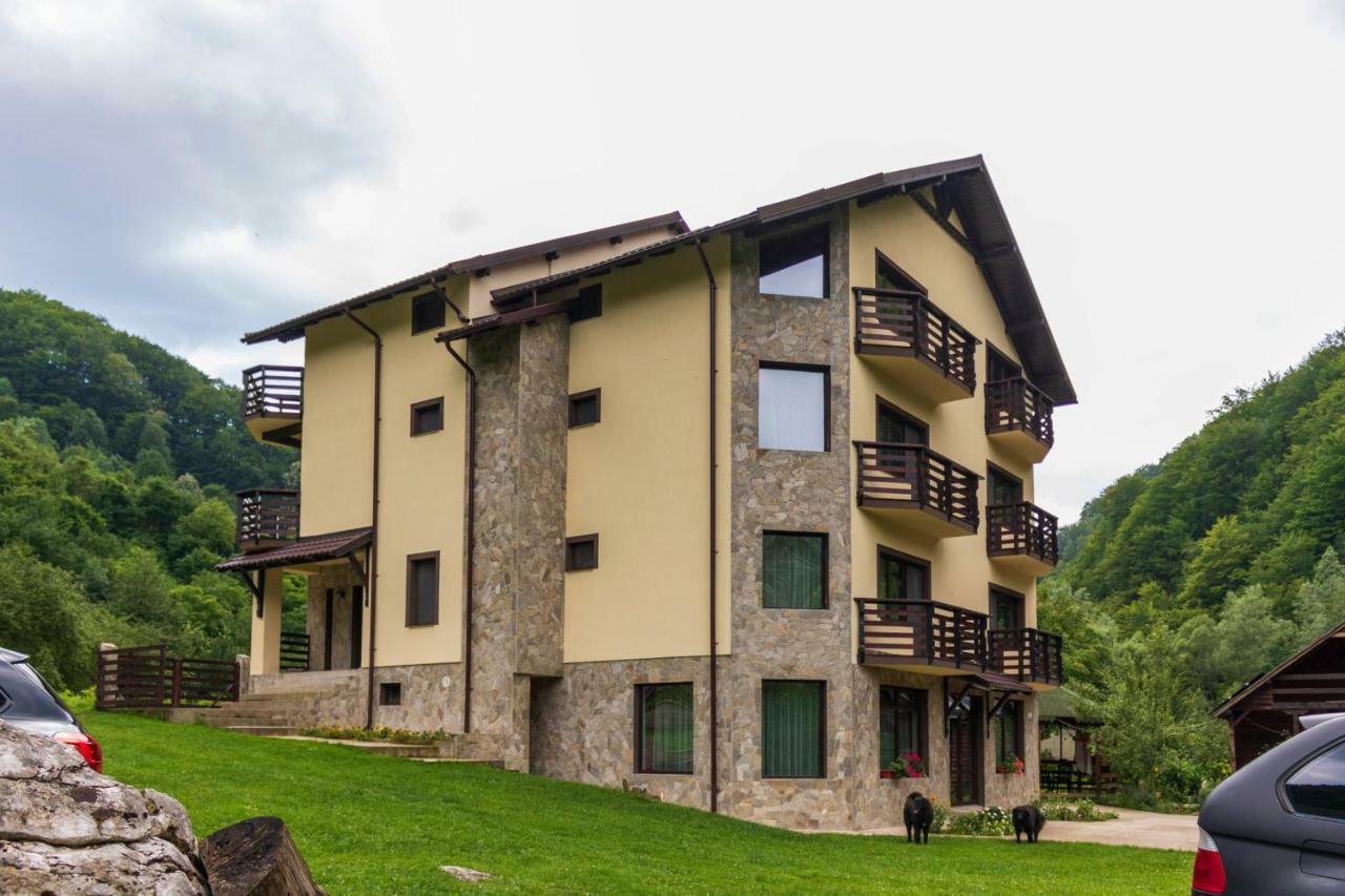 ホテル Casa Valea Cernei Isverna エクステリア 写真