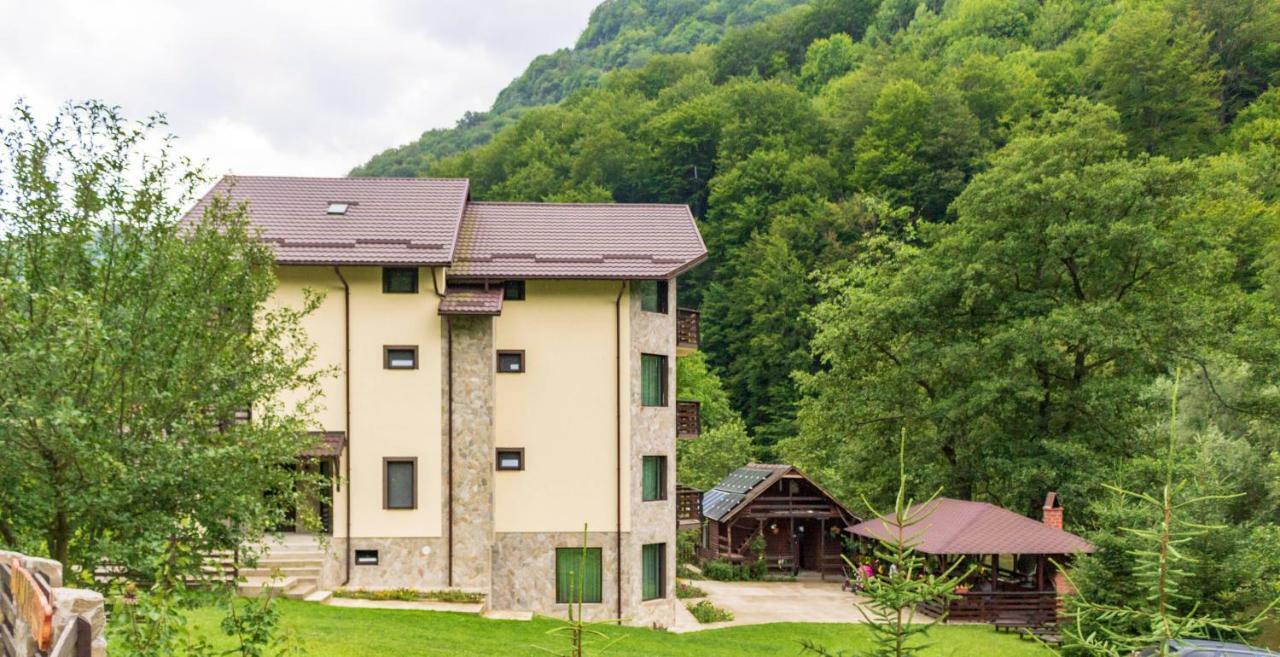 ホテル Casa Valea Cernei Isverna エクステリア 写真