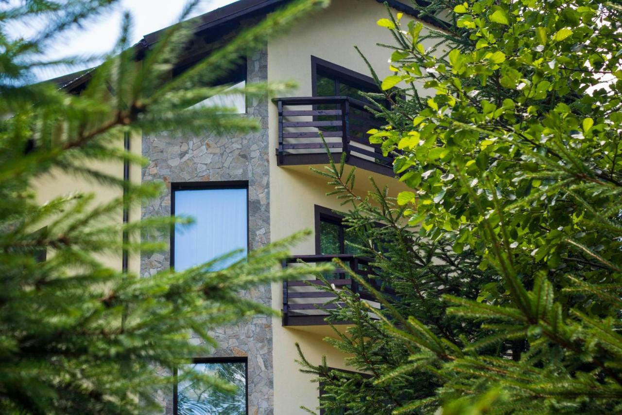 ホテル Casa Valea Cernei Isverna エクステリア 写真