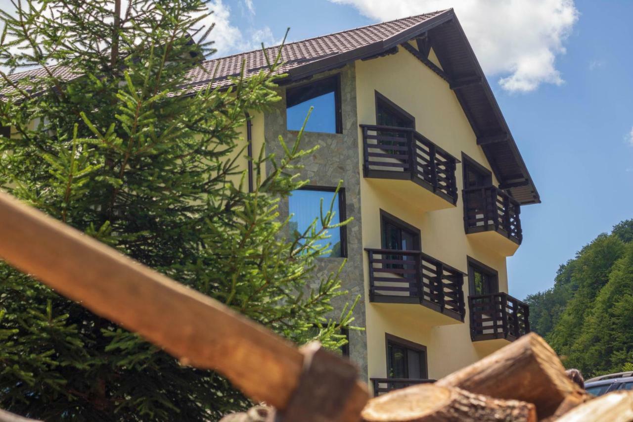 ホテル Casa Valea Cernei Isverna エクステリア 写真