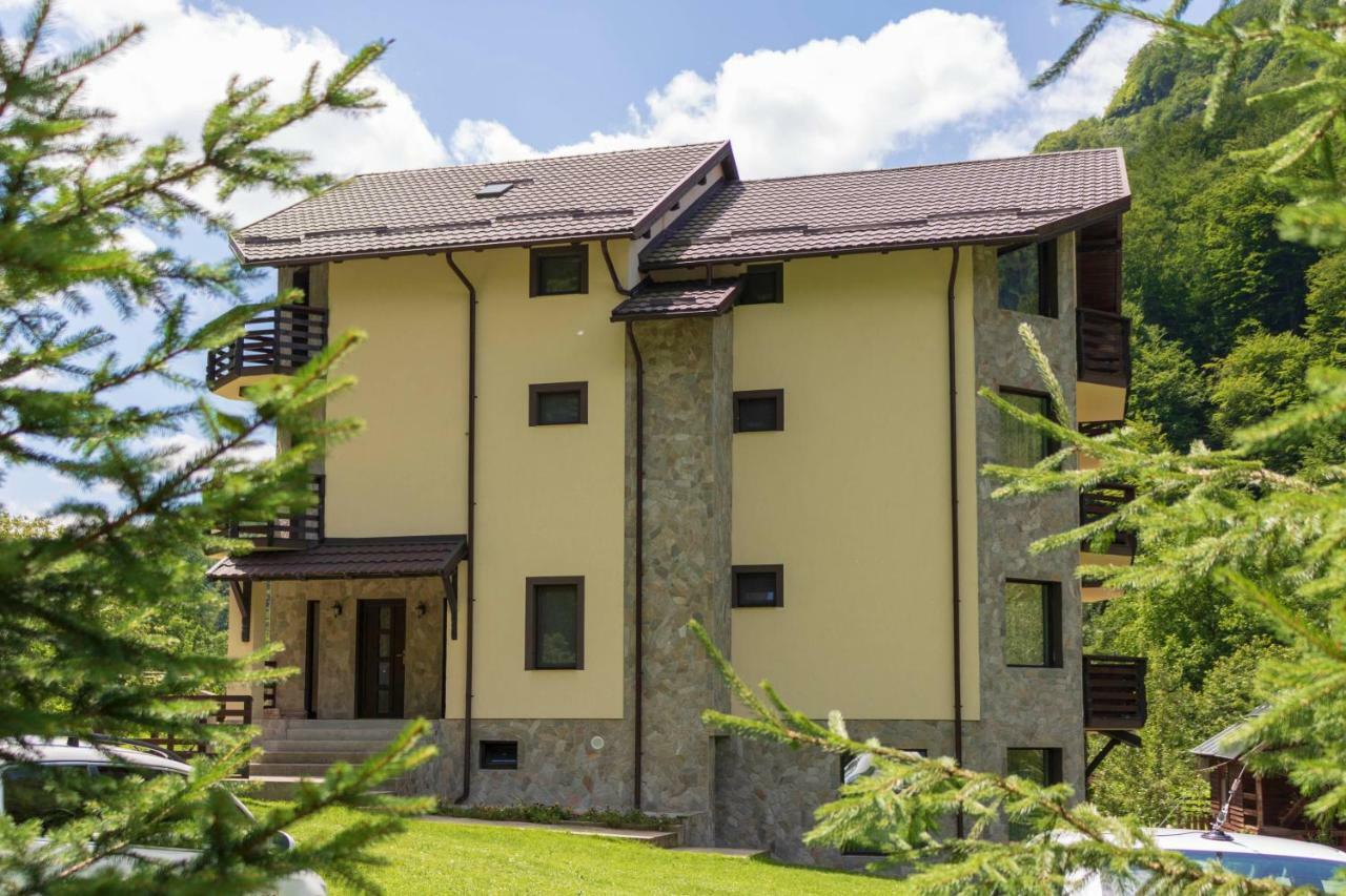ホテル Casa Valea Cernei Isverna エクステリア 写真
