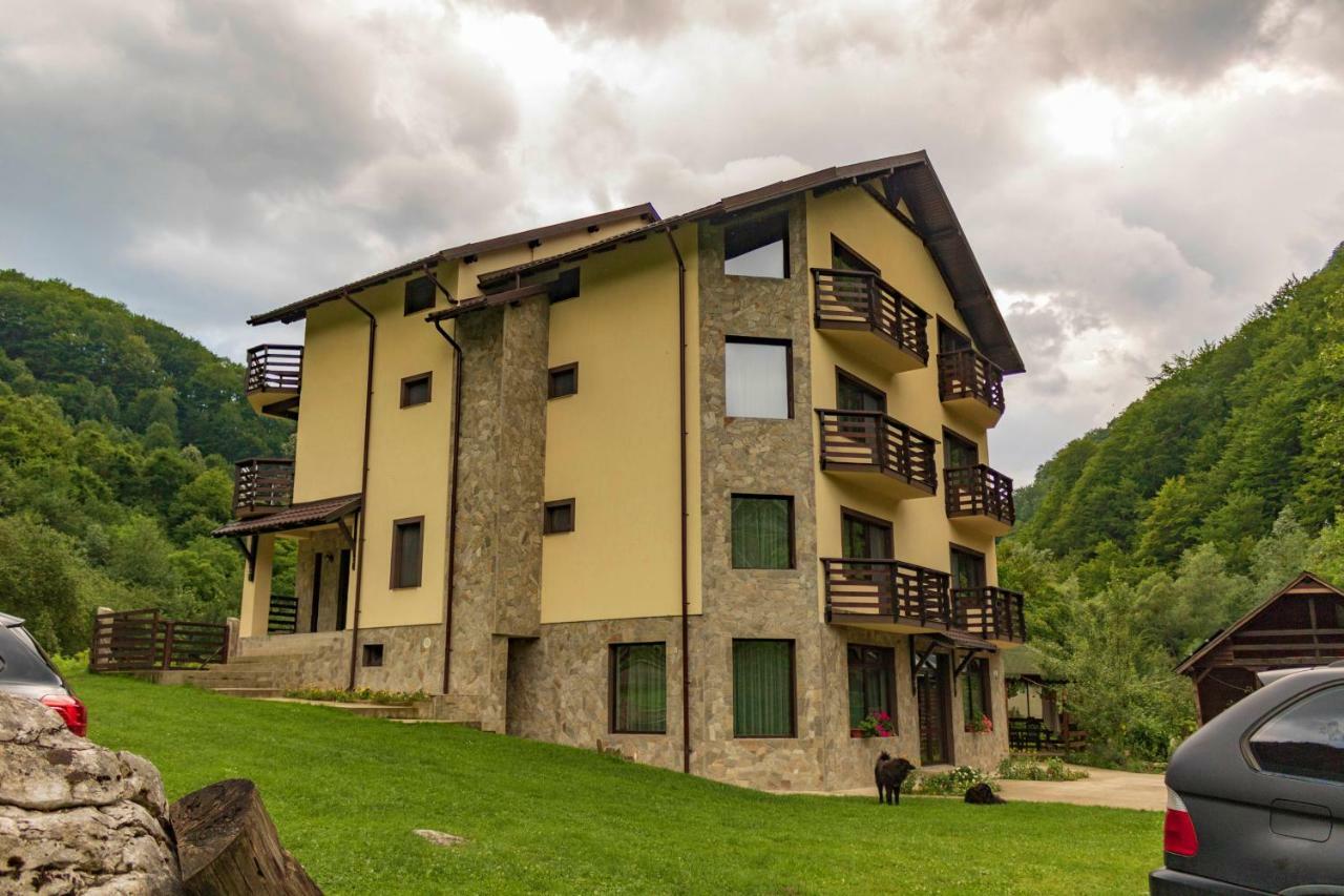 ホテル Casa Valea Cernei Isverna エクステリア 写真
