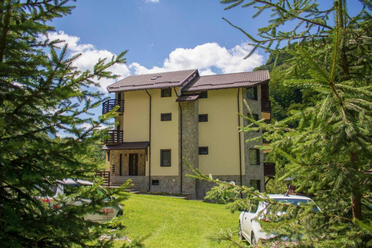 ホテル Casa Valea Cernei Isverna エクステリア 写真